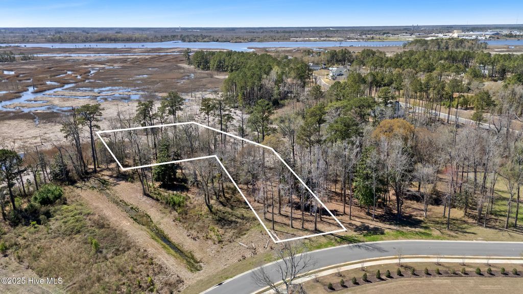 Photo of 228 Preservation Point Avenue, Wilmington, NC 28401 (MLS # 100497660)