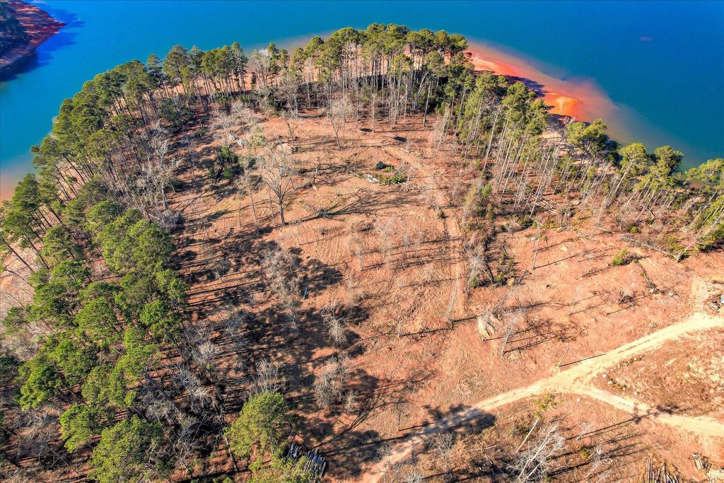 Photo of 490 Abundance Way, Appling, GA 30802 (MLS # 551136)