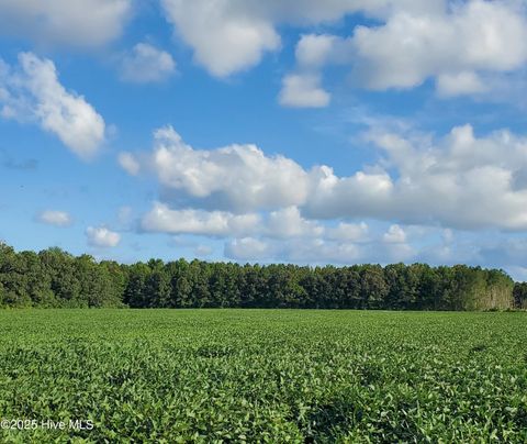 Vacant Land For Sale - 00000 Deep Creek Road Rd<br/> Hertford, NC 27944