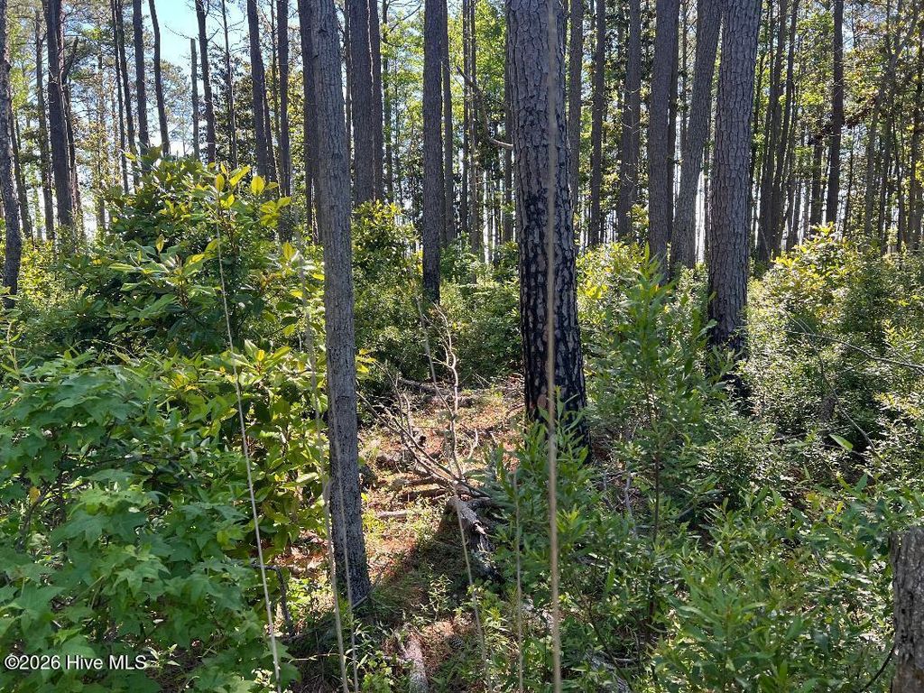 Photo of 570 Highway 70, Smyrna, NC 28579 (MLS # 100574607)