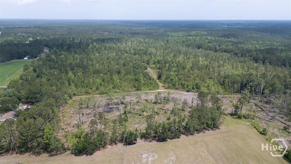 Photo of 0 Old Louisville Road #4, Guyton, GA 31312 (MLS # SA363091)