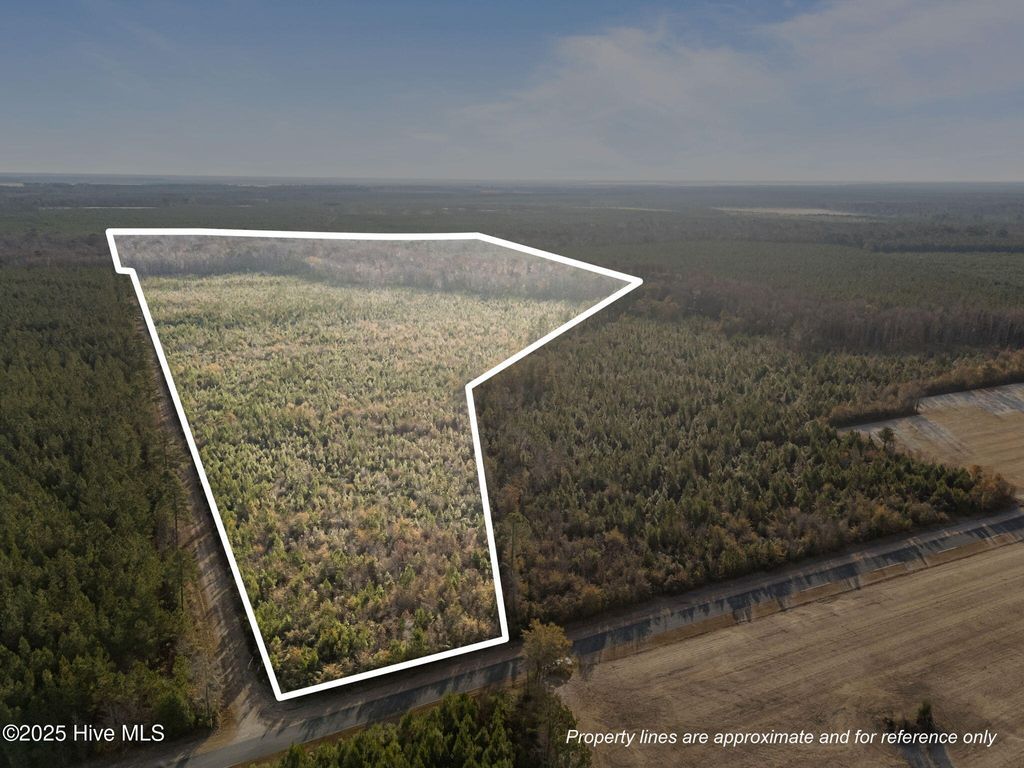 Photo of 0 Sr 1934, Aurora, NC 27806 (MLS # 100543637)