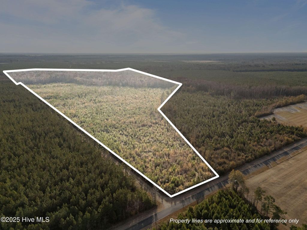 Photo of 0 Sr 1934, Aurora, NC 27806 (MLS # 100543637)