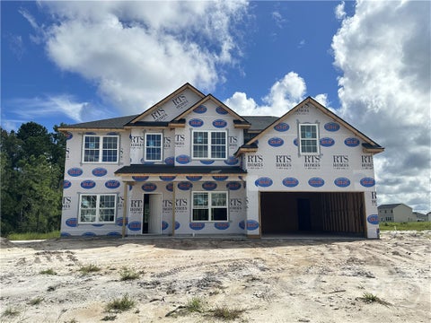 Homes For Sale - 74 Turkey Shoot Court<br/> Long County, Ludowici, GA 31316