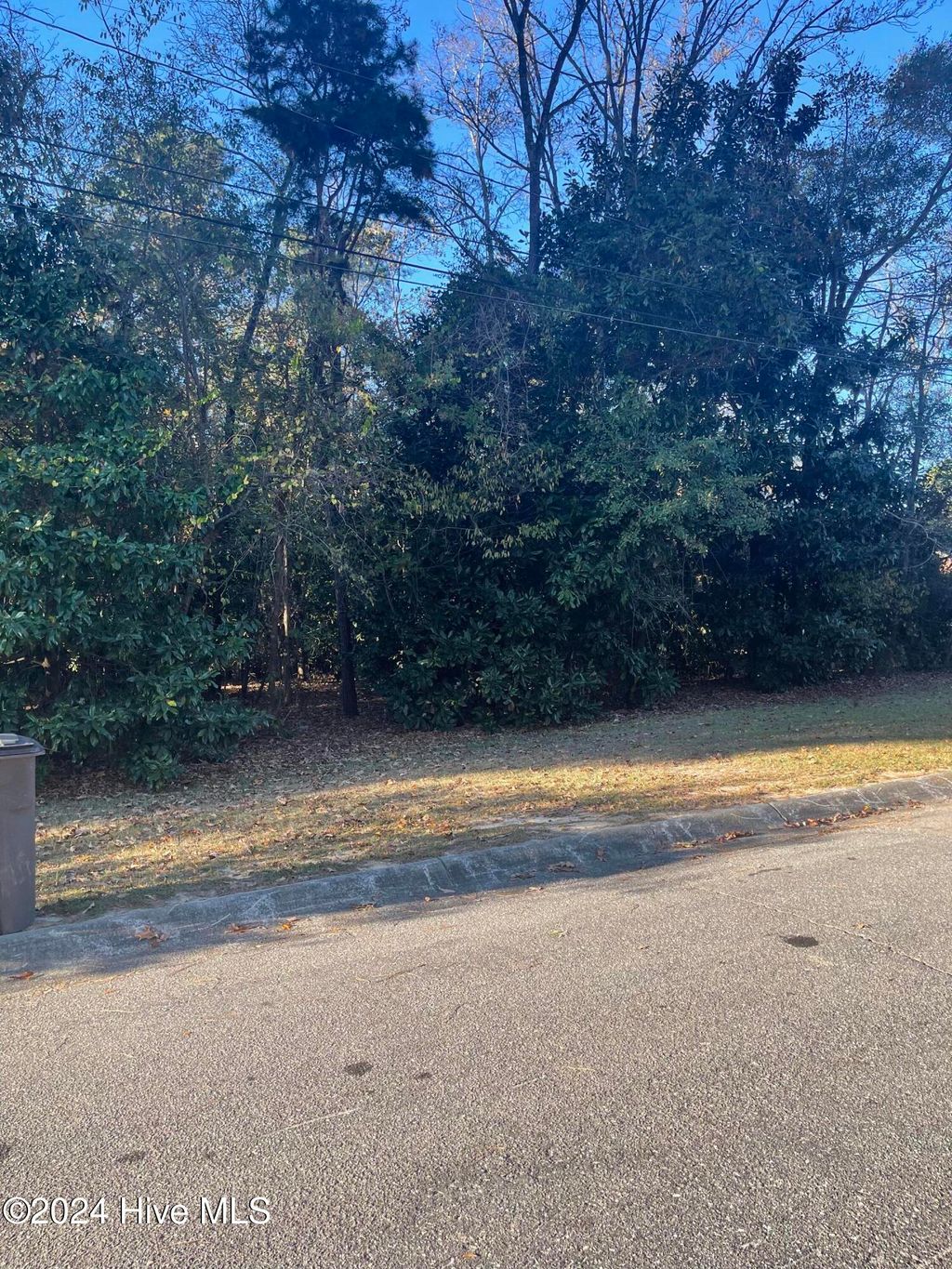 Photo of 408 Lake Pines Drive, La Grange, NC 28551 (MLS # 100476089)