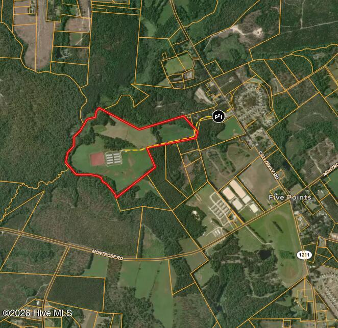 Photo of 789 Trigger Farm Drive, Raeford, NC 28376 (MLS # 100605527)