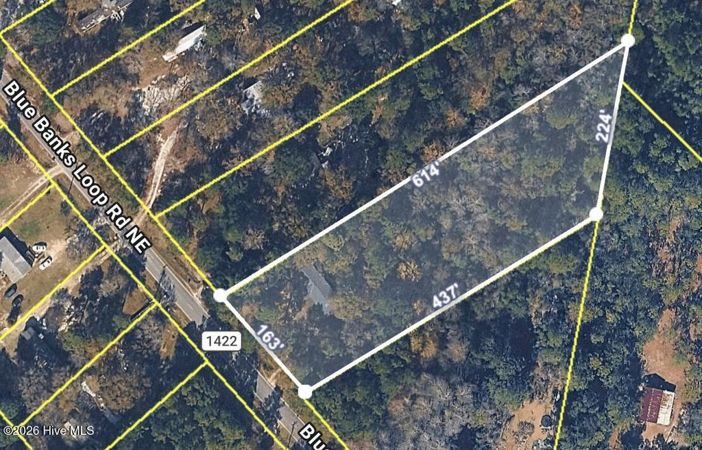 Photo of 3480 Blue Banks Loop Road NE, Leland, NC 28451 (MLS # 100604898)