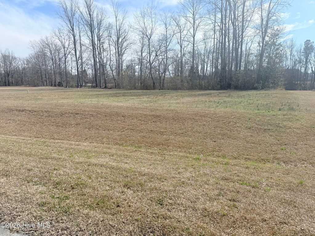 Photo of 76 Bridgewater Drive S, Bath, NC 27808 (MLS # 100558186)