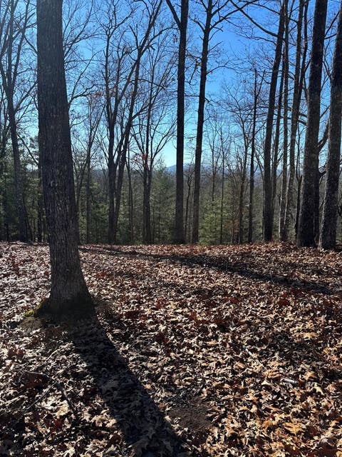 Vacant Land For Sale - LOT 64 Thundering Hill<br/> Murphy, NC 28906