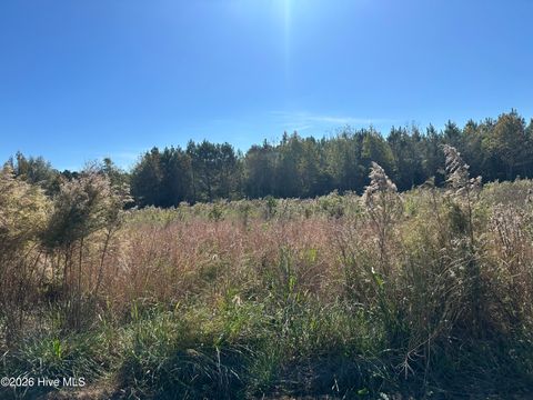 Vacant Land For Sale - 18 Near 18 Taylor Lane<br/> Clarendon, NC 28432