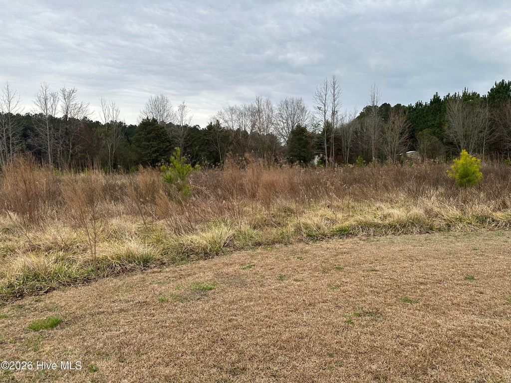 Photo of 18 Near 18 Taylor Lane, Clarendon, NC 28432 (MLS # 100555378)