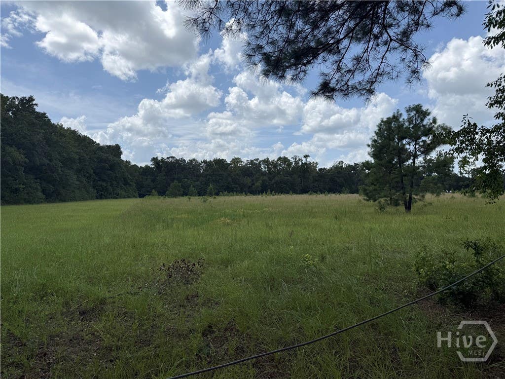 Photo of 0 Toni Branch Road, Ellabell, GA 31308 (MLS # SA361879)