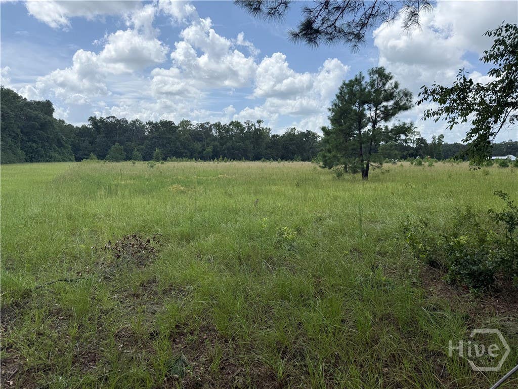 Photo of 0 Toni Branch Road, Ellabell, GA 31308 (MLS # SA361879)
