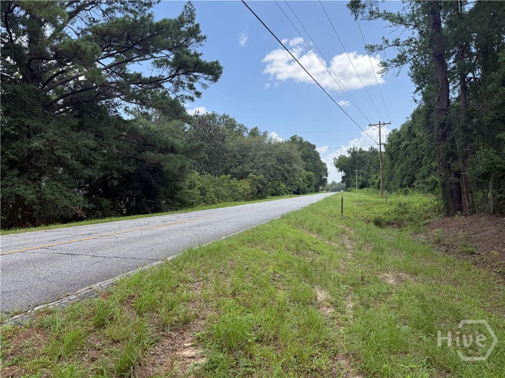 Photo of 0 Toni Branch Road, Ellabell, GA 31308 (MLS # SA361879)
