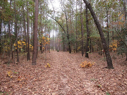 TWIN PINE RD, KEYSVILLE, GA 30816 - Image d8e0b750d70975074f91c36d8a1cd771/856602722