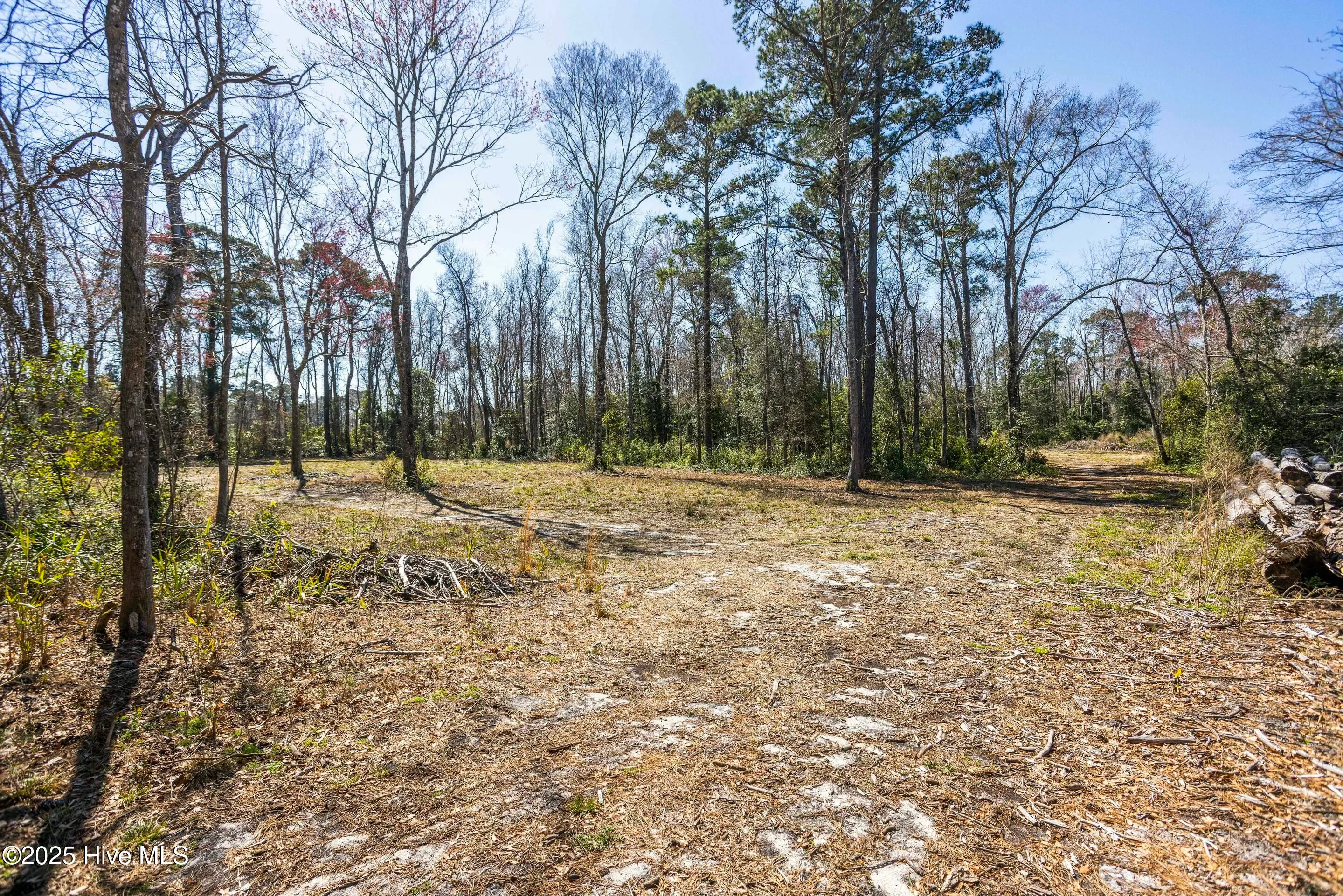 634 Persimmon Road