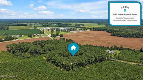 Tiny photo for 893 Horse Branch Road, Burgaw, NC 28425 (MLS # 100597901)