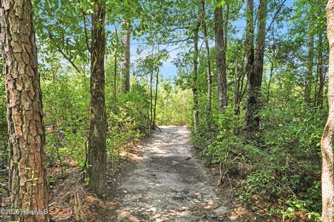 Tiny photo for 893 Horse Branch Road, Burgaw, NC 28425 (MLS # 100597901)