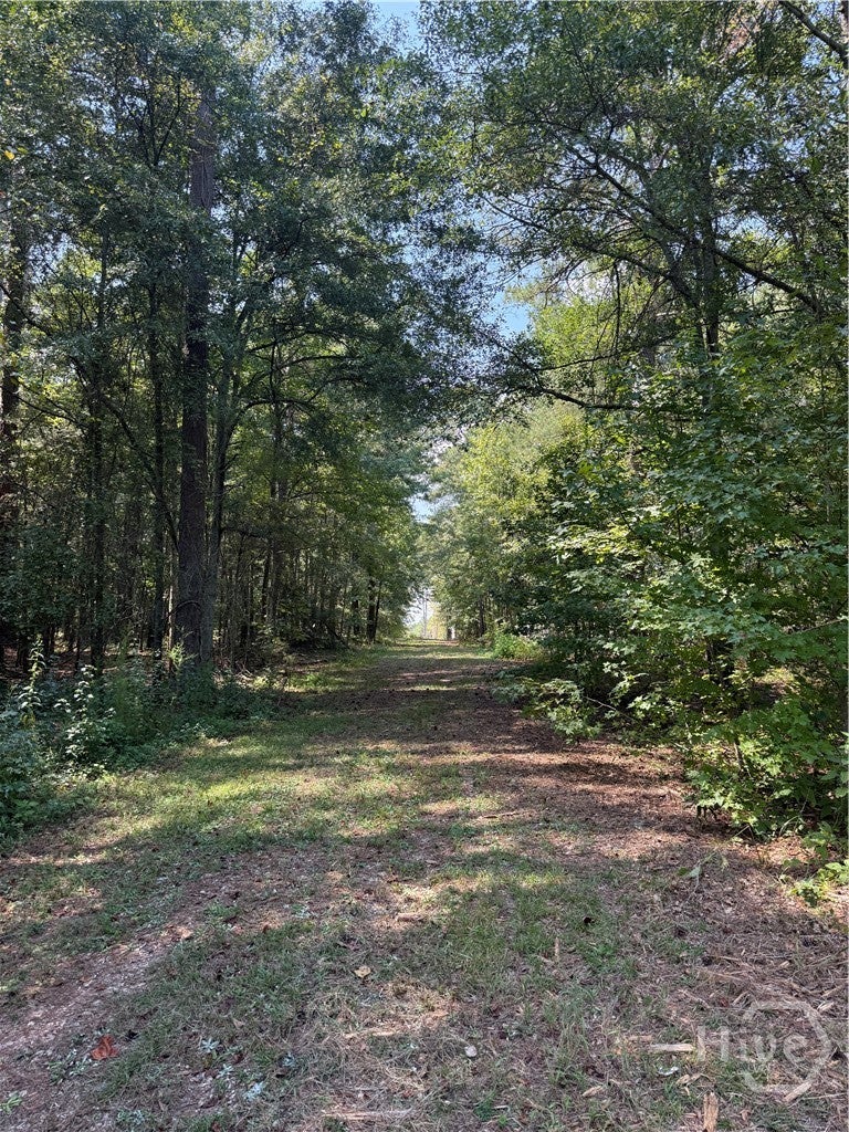 Photo of 00 Monroe Highway, Bethlehem, GA 30620 (MLS # CL364267)