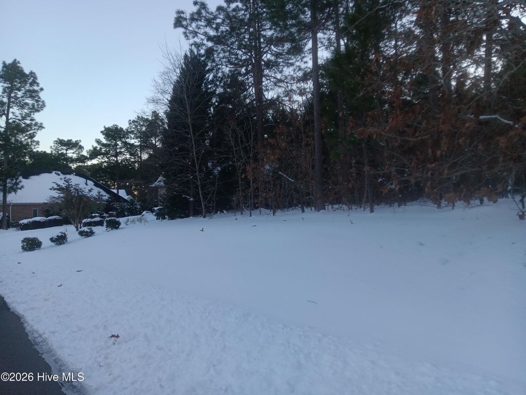 Photo of 105 Steeplechase Way, Southern Pines, NC 28387 (MLS # 100552384)