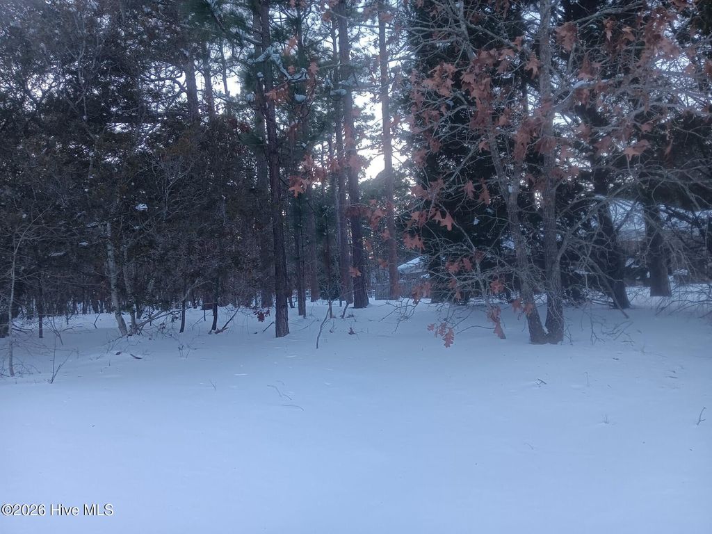 Photo of 105 Steeplechase Way, Southern Pines, NC 28387 (MLS # 100552384)