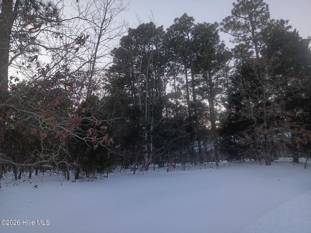 Photo of 105 Steeplechase Way, Southern Pines, NC 28387 (MLS # 100552384)