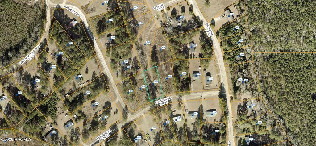 Photo of 586 Summerlea Circle SE, Bolivia, NC 28422 (MLS # 100551747)