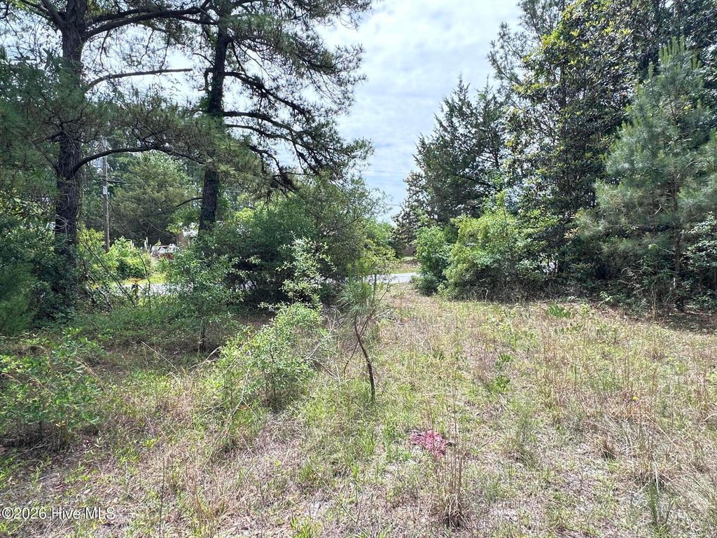Photo of 4781 Longview Drive SE, Southport, NC 28461 (MLS # 100573758)