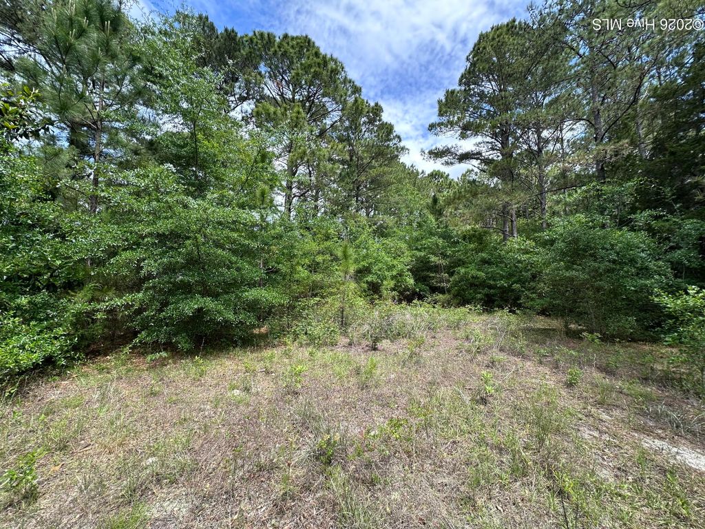 Photo of 4781 Longview Drive SE, Southport, NC 28461 (MLS # 100573758)