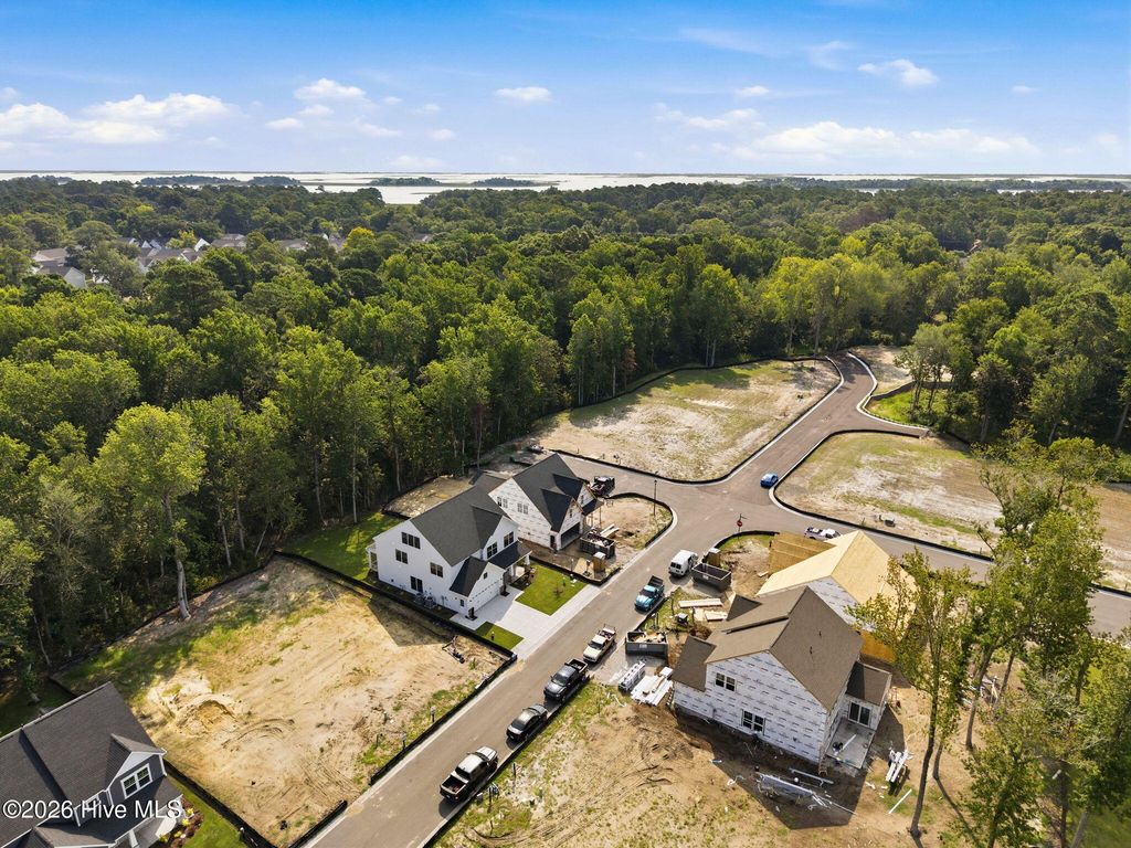 Photo of 1008 Doe Place, Wilmington, NC 28409 (MLS # 100587858)