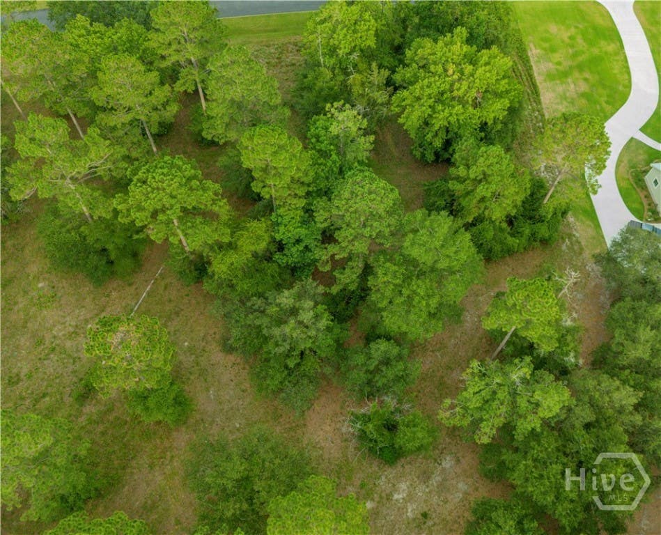 Photo of 70 NE Coopers Point Drive NE, Townsend, GA 31331 (MLS # SA361570)
