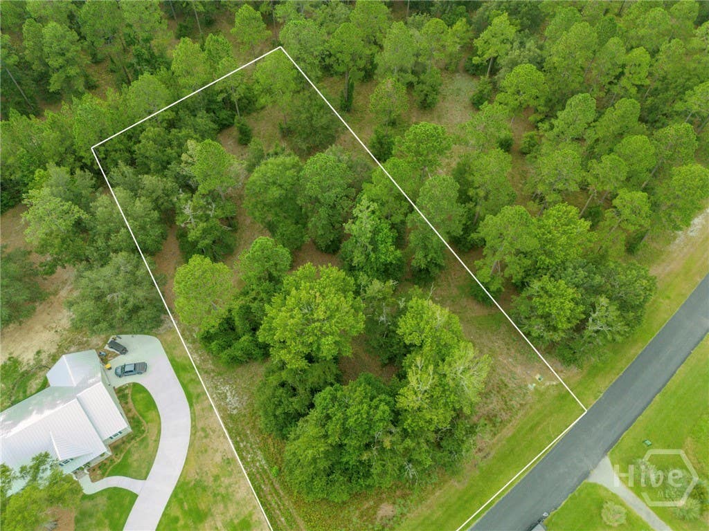 Photo of 70 NE Coopers Point Drive NE, Townsend, GA 31331 (MLS # SA361570)