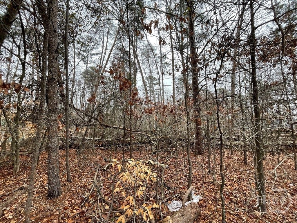 Photo of 840 Player Lane, Westminster, SC 29693 (MLS # CL354175)