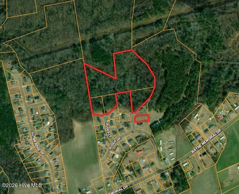 Photo of 102 Colt Court, Pikeville, NC 27863 (MLS # 100597769)
