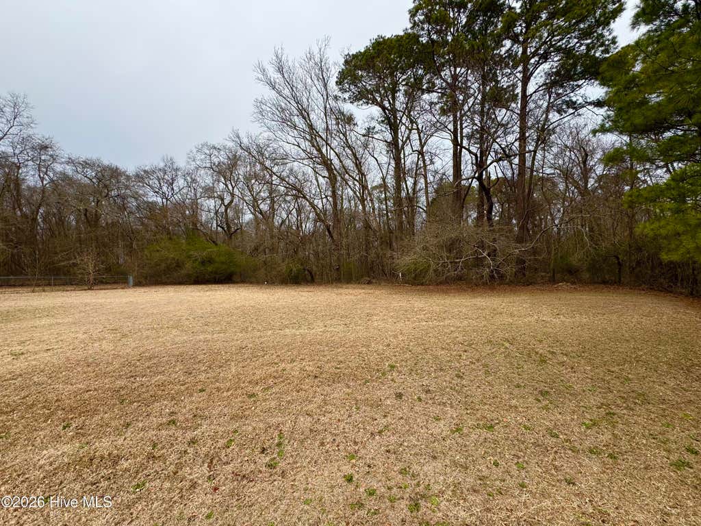 Photo of 102 Colt Court, Pikeville, NC 27863 (MLS # 100597769)