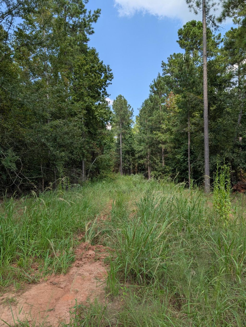 Photo of 00a Elberton Hwy, Lincolnton, GA 30817 (MLS # 546743)
