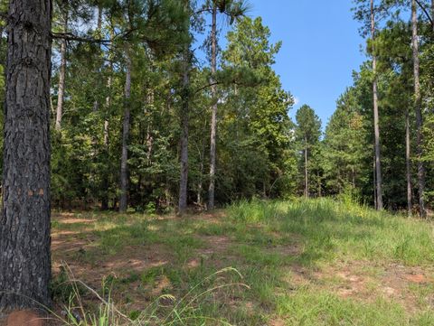 Vacant Land For Sale - 00A Elberton Hwy<br/> Lincoln County, Lincolnton, GA 30817