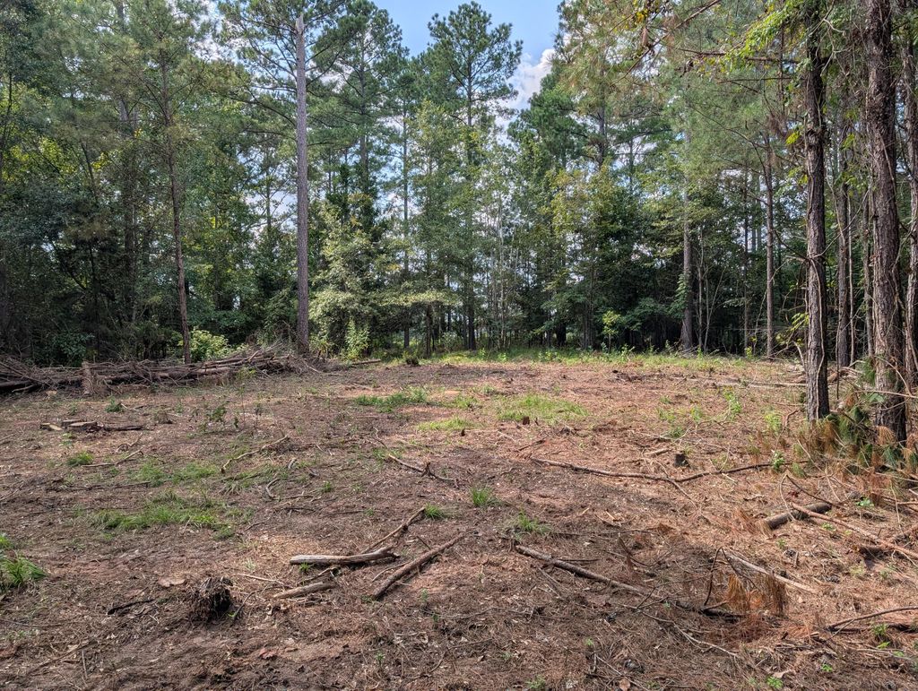 Photo of 00a Elberton Hwy, Lincolnton, GA 30817 (MLS # 546743)