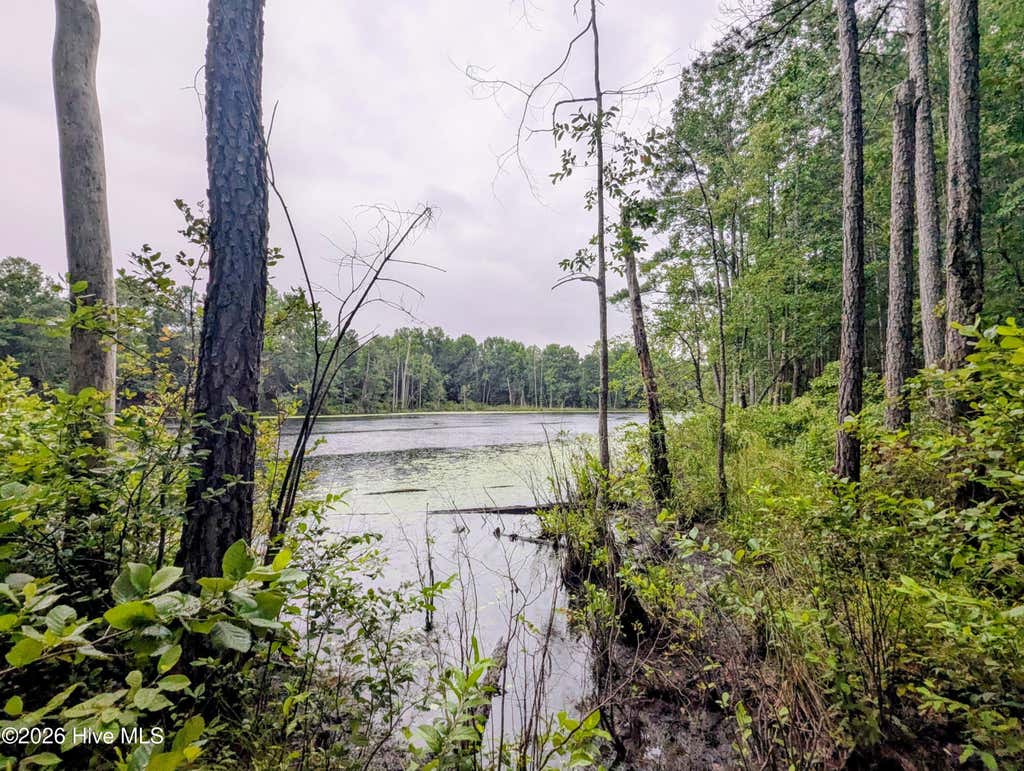 Photo of 172 County Line Road, Ellerbe, NC 28338 (MLS # 100588593)