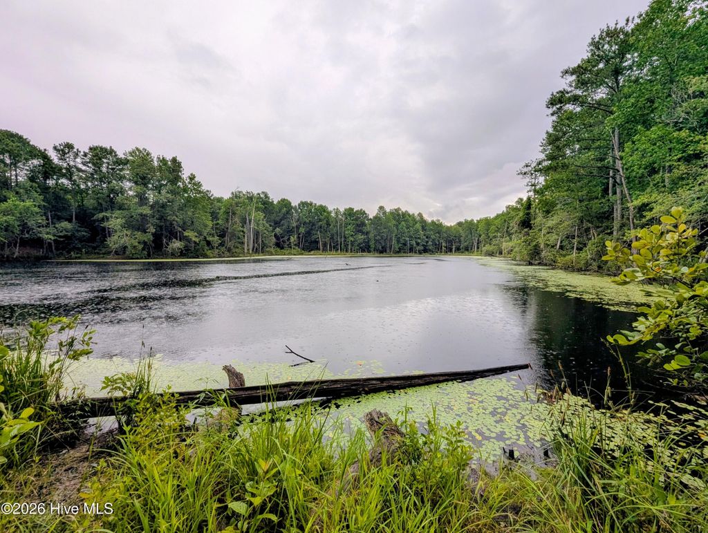 Photo of 172 County Line Road, Ellerbe, NC 28338 (MLS # 100588593)