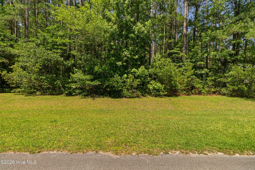 Photo of 311 Antebellum Drive, Havelock, NC 28532 (MLS # 100580498)