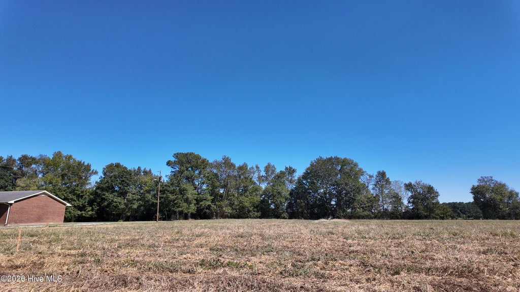 Photo of 8 S Nc 41 Highway, Wallace, NC 28466 (MLS # 100608820)
