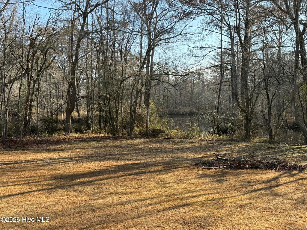 Photo of 103 Raccoon, Washington, NC 27889 (MLS # 100559017)