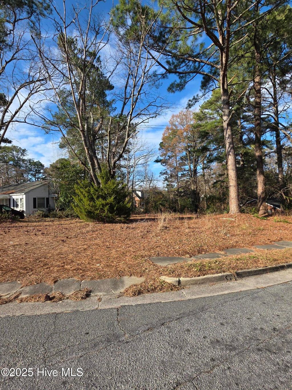 Photo of 404 Summit Avenue, Kinston, NC 28501 (MLS # 100546854)