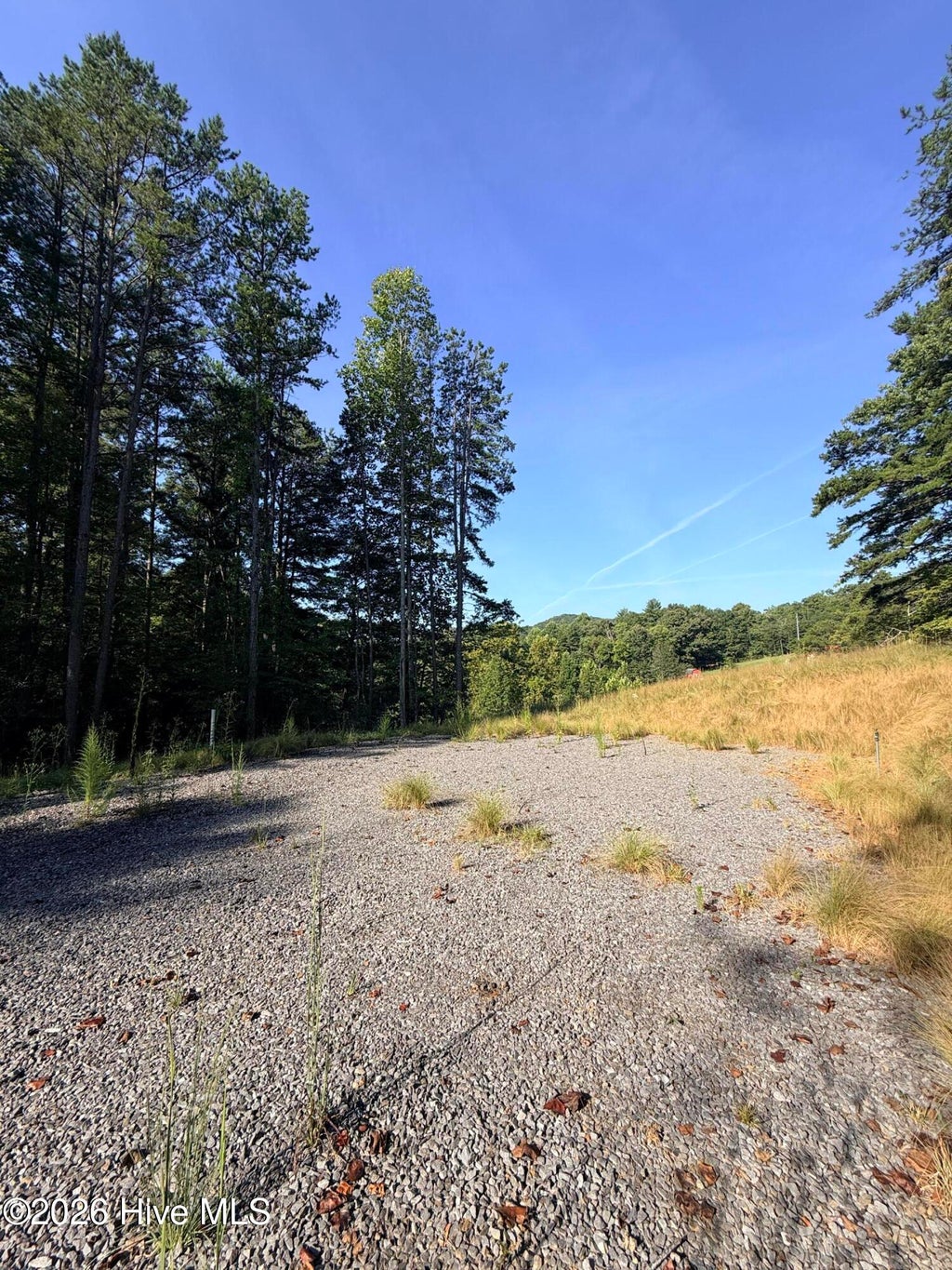 Photo of 6260 Martins Creek Road, Murphy, NC 28906 (MLS # 100603662)