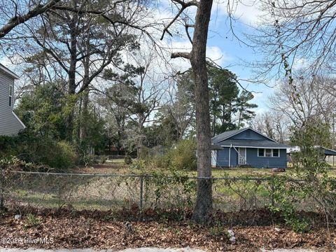 Photo of 21 Clay Street, Wilmington, NC 28405 (MLS # 100558590)