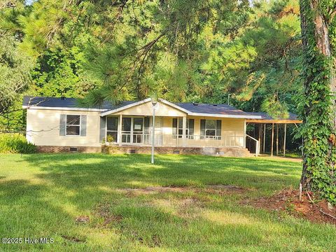 Homes For Sale - 317 Newsome Grove Road<br/> Hertford County, Ahoskie, NC 27910