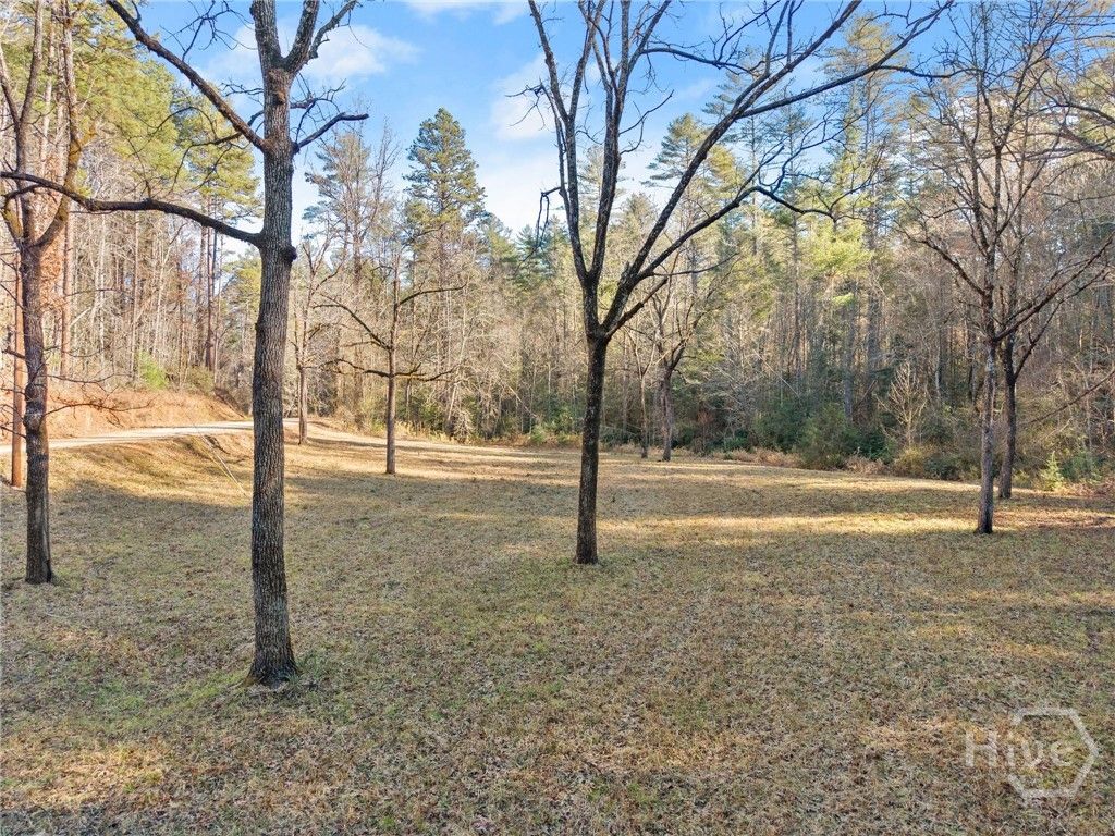 Photo of 0 Shoal Creek Road, Clarkesville, GA 30523 (MLS # SA357386)