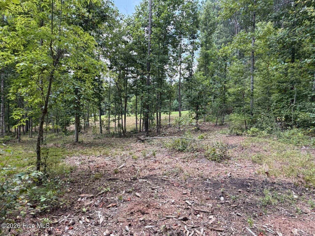 Photo of 502 Landing Drive, Murphy, NC 28906 (MLS # 100597273)