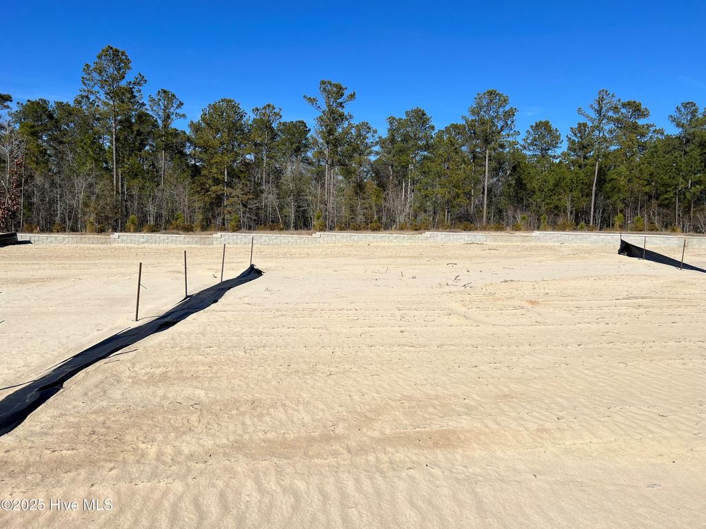 Photo of 2915 W Timber Crest Lane NE, Leland, NC 28451 (MLS # 100497511)